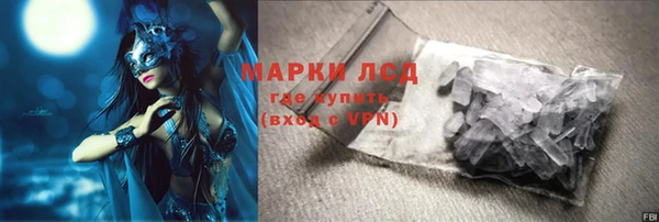 шишки Абаза