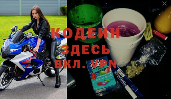 шишки Абаза