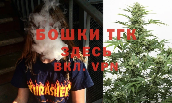 шишки Абаза