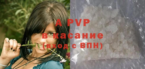 шишки Абаза