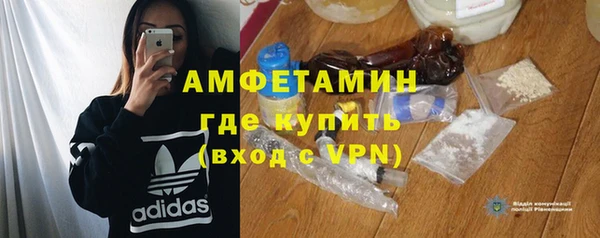 шишки Абаза