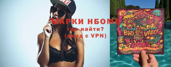 шишки Абаза